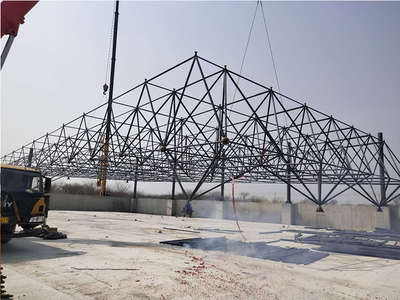 鋼結(jié)構(gòu)網(wǎng)架生產(chǎn)廠家（鋼結(jié)構(gòu)網(wǎng)架生產(chǎn)廠家包括上海寶鋼、江蘇星宇鋼結(jié)構(gòu)有限公司等） 鋼結(jié)構(gòu)玻璃棧道設(shè)計(jì) 第5張