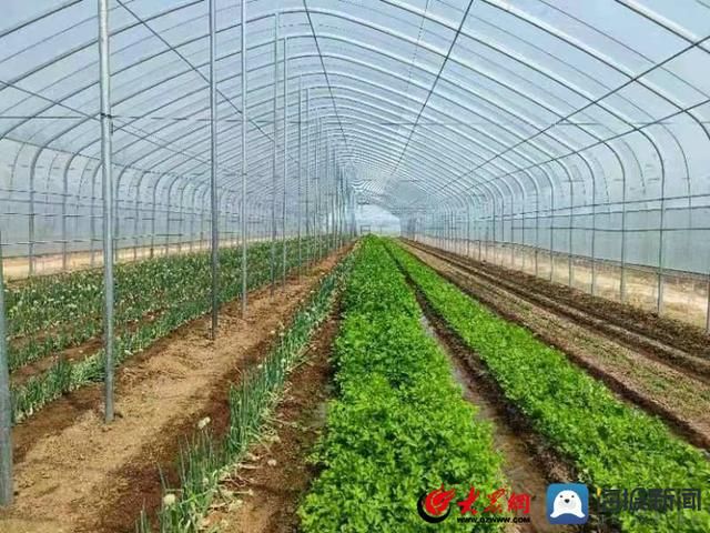 鋼結(jié)構(gòu)打頂瓦 鋼結(jié)構(gòu)網(wǎng)架施工 第3張 鋼結(jié)構(gòu)打頂瓦 鋼結(jié)構(gòu)網(wǎng)架施工 第3張