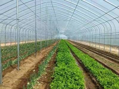 園林綠化施工順序（園林綠化施工中，如何確保植物種植后的成活率？） 北京鋼結(jié)構(gòu)設(shè)計問答