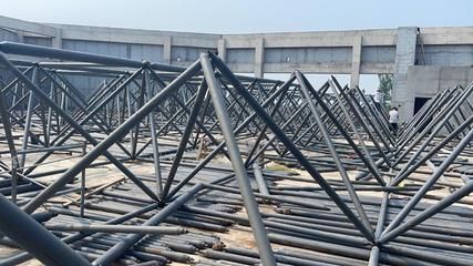 園林設(shè)計方案ppt模板免費(fèi)（園林設(shè)計中如何平衡植物的多樣性與生態(tài)效益？） 北京鋼結(jié)構(gòu)設(shè)計問答