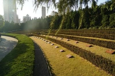 網(wǎng)架公司起名(網(wǎng)架公司起名建議) 結(jié)構(gòu)地下室設(shè)計(jì) 第3張 網(wǎng)架公司起名(網(wǎng)架公司起名建議) 結(jié)構(gòu)地下室設(shè)計(jì) 第3張