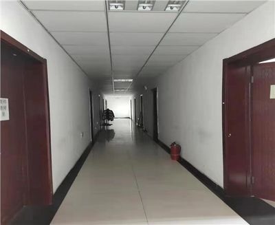 網(wǎng)架設(shè)計(jì)收費(fèi)標(biāo)準(zhǔn)文件是什么(關(guān)于網(wǎng)架設(shè)計(jì)收費(fèi)標(biāo)準(zhǔn)文件的詳細(xì)信息) 建筑消防設(shè)計(jì) 第4張 網(wǎng)架設(shè)計(jì)收費(fèi)標(biāo)準(zhǔn)文件是什么(關(guān)于網(wǎng)架設(shè)計(jì)收費(fèi)標(biāo)準(zhǔn)文件的詳細(xì)信息) 建筑消防設(shè)計(jì) 第4張