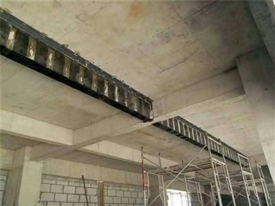 園林綠化施工規(guī)范國家規(guī)范2021年(2021年園林綠化施工規(guī)范中如何應(yīng)對極端天氣條件下的園林綠化工作) 北京鋼結(jié)構(gòu)設(shè)計問答 園林綠化施工規(guī)范國家規(guī)范2021年(2021年園林綠化施工規(guī)范中如何應(yīng)對極端天氣條件下的園林綠化工作) 北京鋼結(jié)構(gòu)設(shè)計問答