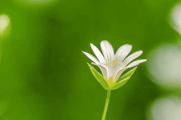 鋼結(jié)構(gòu)安裝多少錢一天 結(jié)構(gòu)工業(yè)裝備設(shè)計(jì) 第3張 鋼結(jié)構(gòu)安裝多少錢一天 結(jié)構(gòu)工業(yè)裝備設(shè)計(jì) 第3張