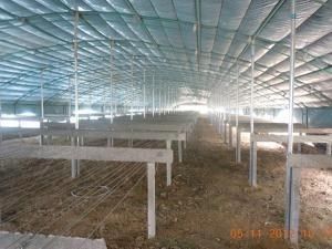 鋼結(jié)構(gòu)安裝價(jià)格多少錢一平方(鋼結(jié)構(gòu)安裝價(jià)格多少錢一平方鋼結(jié)構(gòu)安裝價(jià)格多少錢一平方) 鋼結(jié)構(gòu)跳臺(tái)設(shè)計(jì) 第3張 鋼結(jié)構(gòu)安裝價(jià)格多少錢一平方(鋼結(jié)構(gòu)安裝價(jià)格多少錢一平方鋼結(jié)構(gòu)安裝價(jià)格多少錢一平方) 鋼結(jié)構(gòu)跳臺(tái)設(shè)計(jì) 第3張