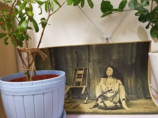 桁架改造花架圖片大全(桁架改造花架圖片大全桁架改造花架圖片大全) 結(jié)構(gòu)地下室施工 第2張 桁架改造花架圖片大全(桁架改造花架圖片大全桁架改造花架圖片大全) 結(jié)構(gòu)地下室施工 第2張