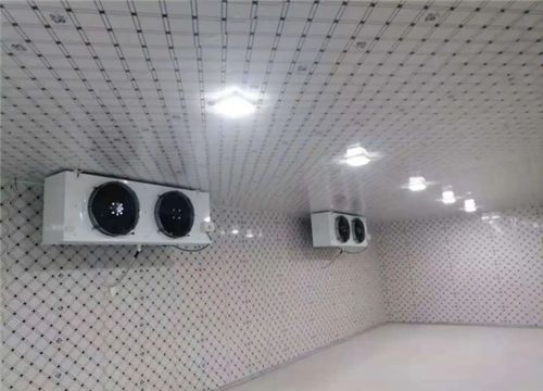 鋼結構冷庫多少錢一平方米(鋼結構冷庫與土建冷庫對比分析,鋼結構冷庫多少錢一平方米) 鋼結構異形設計 第5張 鋼結構冷庫多少錢一平方米(鋼結構冷庫與土建冷庫對比分析,鋼結構冷庫多少錢一平方米) 鋼結構異形設計 第5張