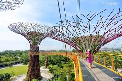 園林鋼結(jié)構(gòu)造型(園林鋼結(jié)構(gòu)景觀造型是一種以鋼材為主要材料為主要材料) 裝飾家裝施工 第5張 園林鋼結(jié)構(gòu)造型(園林鋼結(jié)構(gòu)景觀造型是一種以鋼材為主要材料為主要材料) 裝飾家裝施工 第5張