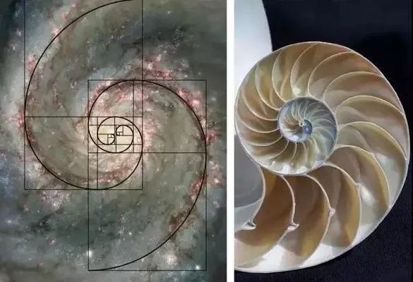 螺旋樓梯平面圖cad(尋找螺旋樓梯平面圖的cad資源您可以參考以下幾個來源) 結構砌體施工 第2張 螺旋樓梯平面圖cad(尋找螺旋樓梯平面圖的cad資源您可以參考以下幾個來源) 結構砌體施工 第2張