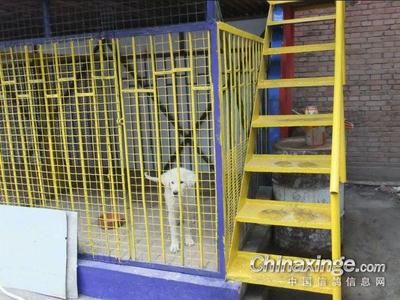 專業(yè)安裝鋁塑板工人(關(guān)于鋁塑板安裝安全的問題) 北京鋼結(jié)構(gòu)設(shè)計(jì)問答 專業(yè)安裝鋁塑板工人(關(guān)于鋁塑板安裝安全的問題) 北京鋼結(jié)構(gòu)設(shè)計(jì)問答