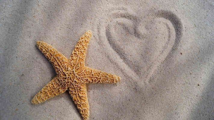 鋼結(jié)構(gòu)別墅建造價(jià)格多少錢一平方米 結(jié)構(gòu)地下室施工 第2張 鋼結(jié)構(gòu)別墅建造價(jià)格多少錢一平方米 結(jié)構(gòu)地下室施工 第2張