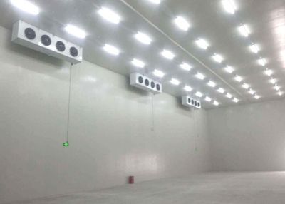 北京冷庫安裝選擇現(xiàn)代制冷設備(北京冷庫安裝) 北京網(wǎng)架設計 第2張 北京冷庫安裝選擇現(xiàn)代制冷設備(北京冷庫安裝) 北京網(wǎng)架設計 第2張