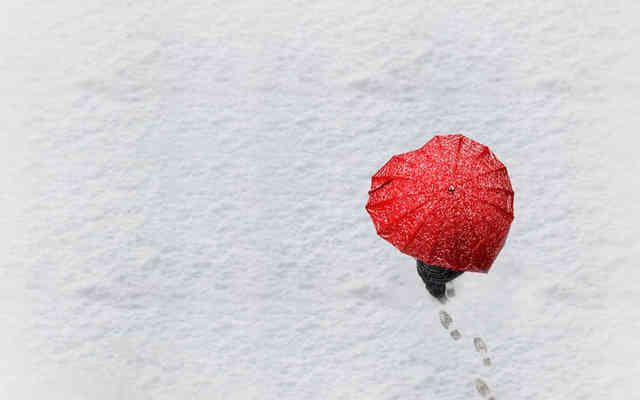 天津津通茂貿(mào)易有限公司（天津津貿(mào)通國(guó)際貿(mào)易集團(tuán)） 全國(guó)鋼結(jié)構(gòu)廠