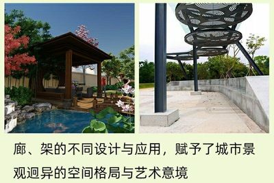 園林景觀鋼結(jié)構(gòu)廠家（園林景觀鋼結(jié)構(gòu)廠家質(zhì)量認(rèn)證標(biāo)準(zhǔn)園林景觀鋼結(jié)構(gòu)廠家） 鋼結(jié)構(gòu)異形設(shè)計 第1張