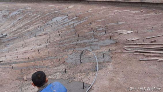 地基加固技術有哪些內容(地基加固技術的基本原理) 鋼結構玻璃棧道設計 第4張 地基加固技術有哪些內容(地基加固技術的基本原理) 鋼結構玻璃棧道設計 第4張