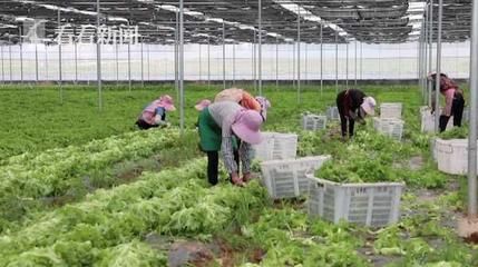 外墻構(gòu)造柱與砌體相接處掛不掛網(wǎng)（外墻構(gòu)造柱與砌體交接處為什么要掛網(wǎng)？）