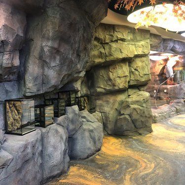 鋼結(jié)構(gòu)但包工多少錢一噸能做(鋼結(jié)構(gòu)工程承包價(jià)格) 結(jié)構(gòu)工業(yè)裝備施工 第5張 鋼結(jié)構(gòu)但包工多少錢一噸能做(鋼結(jié)構(gòu)工程承包價(jià)格) 結(jié)構(gòu)工業(yè)裝備施工 第5張