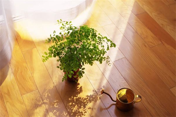 鋼結(jié)構(gòu)的房子是什么樣子的（鋼結(jié)構(gòu)房?jī)?nèi)部布局如何） 裝飾幕墻施工 第1張