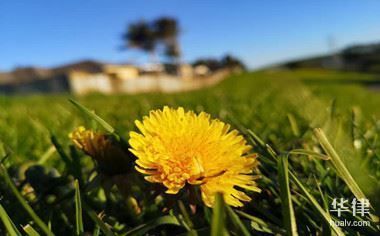 詳細(xì)閱讀:房屋改建的法律定義(房屋改建在法律上的定義涉及到一系列的規(guī)定和程序) 房屋改建的法律定義(房屋改建在法律上的定義涉及到一系列的規(guī)定和程序)