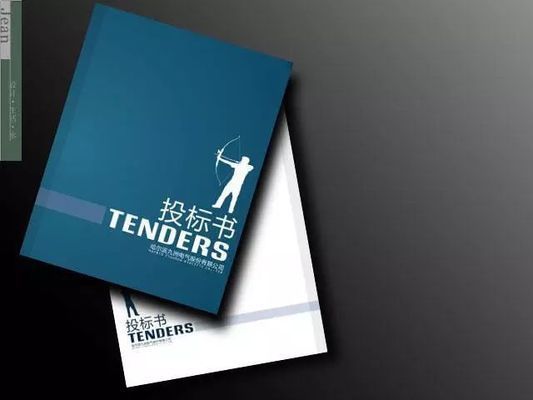 鋼結構立體停車場招標（欒川縣耕莘街道辦事處關于鋼結構立體停車場招標的公告） 鋼結構跳臺設計 第1張