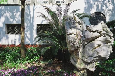 鋼結(jié)構(gòu)廊道圖片 鋼結(jié)構(gòu)鋼結(jié)構(gòu)停車場(chǎng)設(shè)計(jì) 第4張 鋼結(jié)構(gòu)廊道圖片 鋼結(jié)構(gòu)鋼結(jié)構(gòu)停車場(chǎng)設(shè)計(jì) 第4張