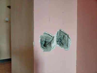 西寧led透明玻璃幕墻廠家聯(lián)系電話（西寧led透明玻璃幕墻廠家有哪些主要的產(chǎn)品特點(diǎn)？）