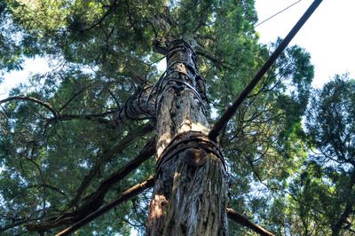 室內(nèi)碳纖維加固影響健康嗎(室內(nèi)碳纖維加固后的維護(hù)方法) 結(jié)構(gòu)砌體施工 第5張 室內(nèi)碳纖維加固影響健康嗎(室內(nèi)碳纖維加固后的維護(hù)方法) 結(jié)構(gòu)砌體施工 第5張