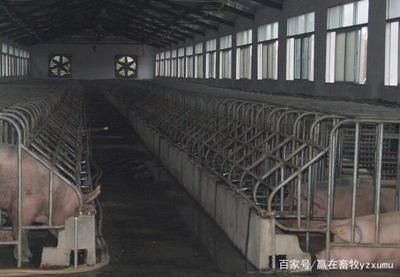 修建體育館英語作文(constructionofanewgymnasium) 北京鋼結(jié)構(gòu)設(shè)計(jì)問答 修建體育館英語作文(constructionofanewgymnasium) 北京鋼結(jié)構(gòu)設(shè)計(jì)問答