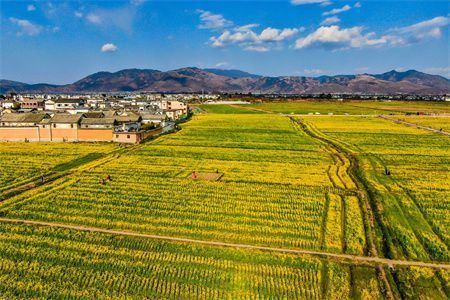 北京承重墻開門洞加固方案公示 結(jié)構(gòu)機(jī)械鋼結(jié)構(gòu)設(shè)計(jì) 第1張