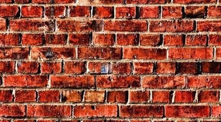 學?；▓@簡筆畫圖片大全大圖（學校花園的簡筆畫圖片大全包含哪些類型的植物）