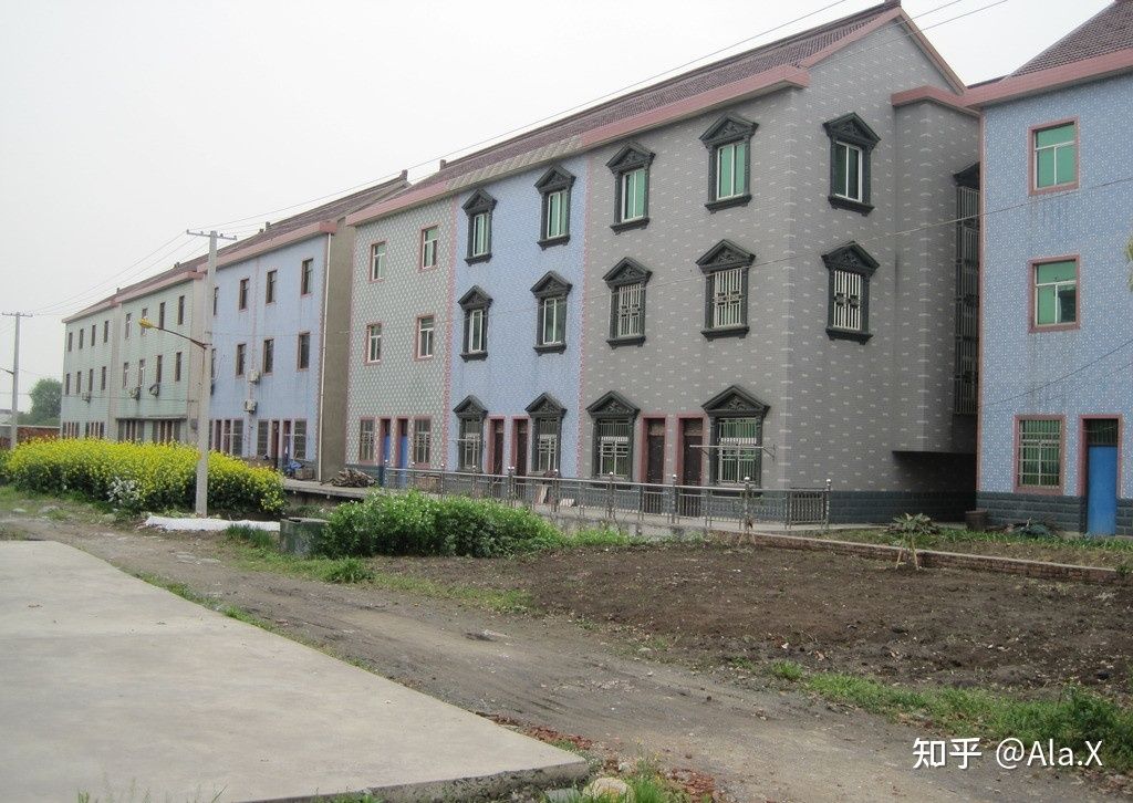 西藏生態(tài)修復(fù)項(xiàng)目有哪些項(xiàng)目（西藏生態(tài)修復(fù)項(xiàng)目包括哪些具體措施西藏生態(tài)修復(fù)項(xiàng)目）