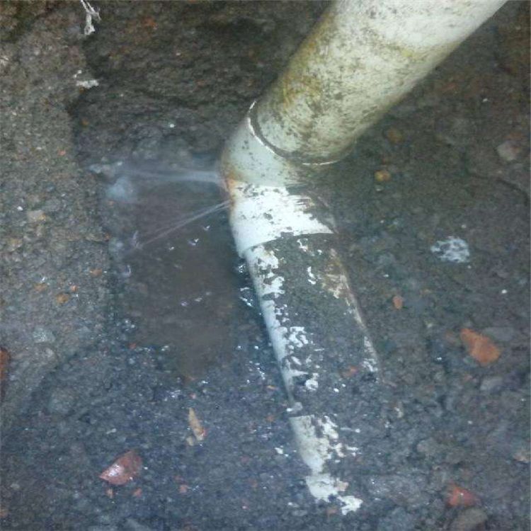 詳細(xì)閱讀:北京園林設(shè)計(jì)公司國企有哪些(北京園林設(shè)計(jì)公司國企有哪些公司) 北京園林設(shè)計(jì)公司國企有哪些(北京園林設(shè)計(jì)公司國企有哪些公司)