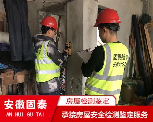 磚混結(jié)構(gòu)的廠房 鋼結(jié)構(gòu)蹦極施工 第3張 磚混結(jié)構(gòu)的廠房 鋼結(jié)構(gòu)蹦極施工 第3張