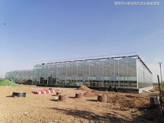 天津市公路處班子成員（天津市公路處班子成員是否對當(dāng)前交通狀況進(jìn)行了全面分析）