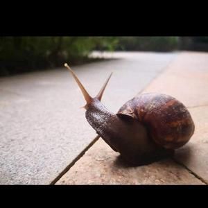 樓板房怎樣加固結(jié)構(gòu)（樓板房加固方法和注意事項，樓板房加固方法及注意事項） 結(jié)構(gòu)工業(yè)鋼結(jié)構(gòu)設(shè)計 第5張