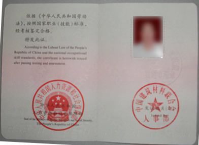 混凝土外加劑技術(shù)服務(wù)工程師（混凝土外加劑工程師行業(yè)前景分析：混凝土外加劑技術(shù)服務(wù)工程師） 裝飾工裝施工 第5張