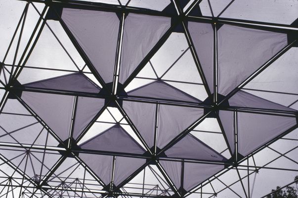 幼兒園鴿子的班本課程（幼兒園的鴿子班本課程中，孩子們是如何學(xué)習(xí)到有關(guān)鴿子的知識(shí)的呢？） 北京鋼結(jié)構(gòu)設(shè)計(jì)問(wèn)答