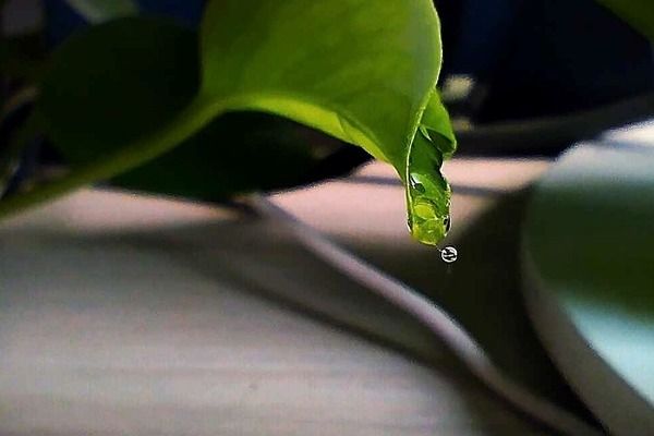 中國鋼結(jié)構(gòu)金獎(jiǎng)結(jié)果2021（2021年中國鋼結(jié)構(gòu)金獎(jiǎng)的部分獲獎(jiǎng)項(xiàng)目） 裝飾家裝設(shè)計(jì) 第3張