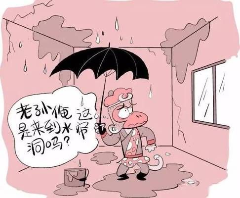 屋頂加固費用由誰承擔的呢(屋頂加固費用分攤比例) 裝飾家裝施工 第3張 屋頂加固費用由誰承擔的呢(屋頂加固費用分攤比例) 裝飾家裝施工 第3張