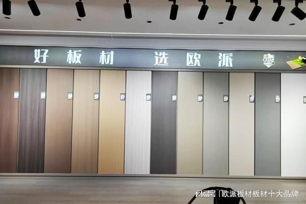 板材廠生產(chǎn)廠家(南京板材廠口碑排行,板材市場價格趨勢分析,板材廠生產(chǎn)工藝介紹) 裝飾工裝設(shè)計 第1張 板材廠生產(chǎn)廠家(南京板材廠口碑排行,板材市場價格趨勢分析,板材廠生產(chǎn)工藝介紹) 裝飾工裝設(shè)計 第1張