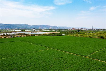 房頂加高有什么講究(屋頂加高合法審批流程詳解屋頂加高風(fēng)水講究有哪些) 結(jié)構(gòu)砌體施工 第2張 房頂加高有什么講究(屋頂加高合法審批流程詳解屋頂加高風(fēng)水講究有哪些) 結(jié)構(gòu)砌體施工 第2張