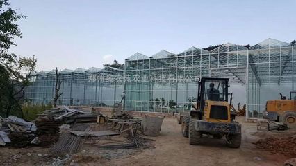 鋼結(jié)構(gòu)餐廳造價(jià) 結(jié)構(gòu)框架設(shè)計(jì) 第5張 鋼結(jié)構(gòu)餐廳造價(jià) 結(jié)構(gòu)框架設(shè)計(jì) 第5張