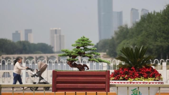 羽毛球館裝飾圖片大全（關(guān)于羽毛球館裝飾圖片的疑問） 北京鋼結(jié)構(gòu)設(shè)計(jì)問答