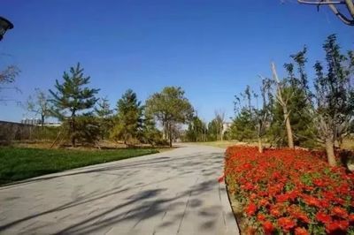 北京城建工程機械廠有哪些(北京城建工程機械廠) 鋼結構鋼結構停車場設計 第4張 北京城建工程機械廠有哪些(北京城建工程機械廠) 鋼結構鋼結構停車場設計 第4張