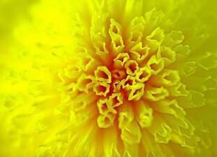 園林設(shè)計(jì)師資格證有什么用(關(guān)于園林設(shè)計(jì)師資格證的問題) 北京鋼結(jié)構(gòu)設(shè)計(jì)問答 園林設(shè)計(jì)師資格證有什么用(關(guān)于園林設(shè)計(jì)師資格證的問題) 北京鋼結(jié)構(gòu)設(shè)計(jì)問答