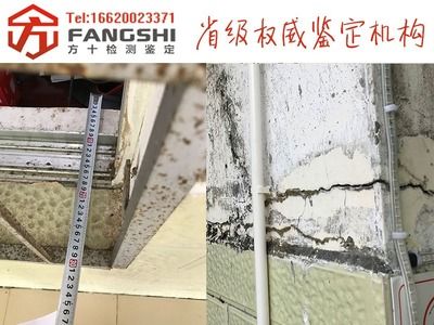 山西建筑加固公司聯(lián)系電話是多少（山西建筑加固公司的主要業(yè)務(wù)） 北京鋼結(jié)構(gòu)設(shè)計(jì)問答