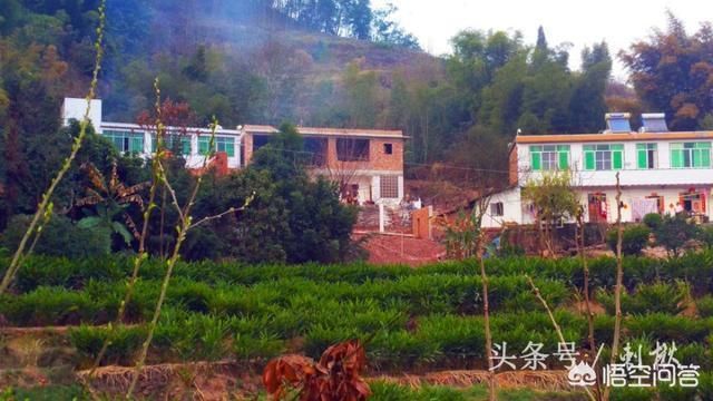 房子加頂(農(nóng)村自建房加頂指南,加頂施工中的安全防護(hù)措施) 鋼結(jié)構(gòu)蹦極施工 第1張 房子加頂(農(nóng)村自建房加頂指南,加頂施工中的安全防護(hù)措施) 鋼結(jié)構(gòu)蹦極施工 第1張