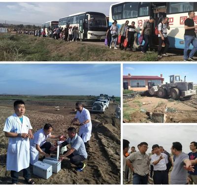 包鋼搬遷白云鄂博 裝飾幕墻設(shè)計(jì) 第3張 包鋼搬遷白云鄂博 裝飾幕墻設(shè)計(jì) 第3張