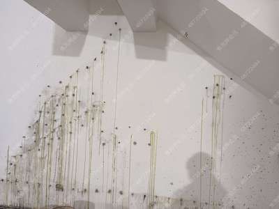 天津辦公樓加固設(shè)計(jì)公司排名榜（在天津辦公樓加固設(shè)計(jì)公司排名榜中，哪些公司因其卓越的技術(shù)和創(chuàng)新解決方案而脫穎而出？）