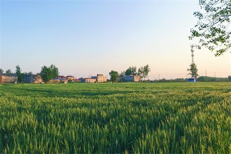 鋼結(jié)構(gòu)柱接長 結(jié)構(gòu)工業(yè)裝備設(shè)計(jì) 第2張 鋼結(jié)構(gòu)柱接長 結(jié)構(gòu)工業(yè)裝備設(shè)計(jì) 第2張